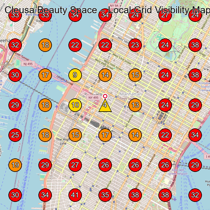 Cleusa Beauty Space GeoGrid visibility map for Facial Spa in New York